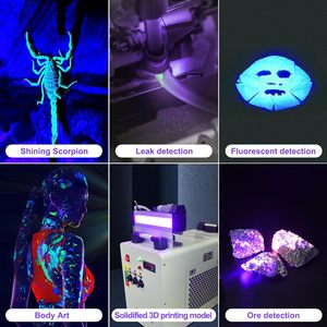 Mini 365nm Led Black Light <strong>UV</strong> <strong>Flashlight</strong> Usb Rechargeable Nail Lamp Pet Stain Leakage Marker Ore Money Scorpion Detection Lamp - Product Image 6