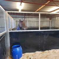 Moderne Et Élégant Nouveau Temporaire Cheval Complexe Stable Portatif Écuries