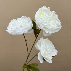 Vente en gros de fausse pivoine brûlée branche florale fleur artificielle 3 têtes soie blanche fausses pivoines en vrac - Product Image 1