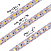 Nouvelle conception de bande LED SMD2835 DC 12V/24V 3000K/4000K/6000K, PCB en cuivre, étanche IP67, personnalisable, flexible, pour aménagement paysager