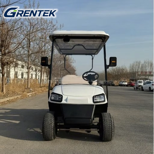 Modèle très demandé de voiturettes de golf électriques 2 places, véhicule de réception tout-terrain personnalisé, voiturette de golf de patrouille pour usage hors route non publique - Product Image 3