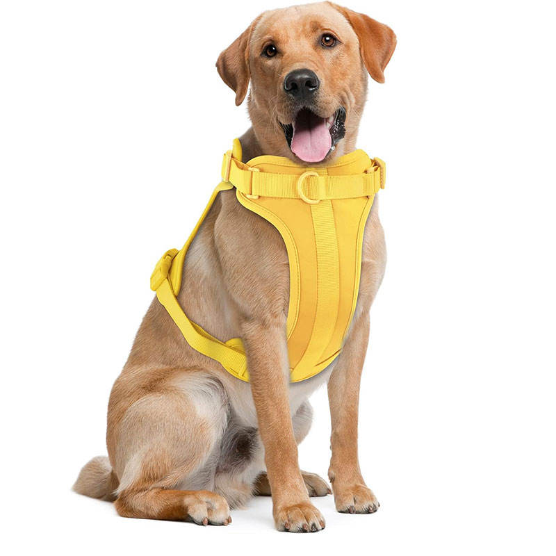 สีเหลือง