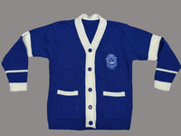 Pull cardigan en acrylique d'hiver Zeta Phi Beta pour femme, bleu, tricoté, style universitaire, broderie chenille, col en V, personnalisé OEM