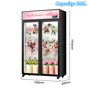 Vitrina Refrigerada Transparente de 2/3 Puertas para Conservación/Exhibición de Flores para Floristería - Gabinete Comercial Sin Drenaje - Product Image 2