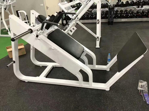Equipo de entrenamiento de fuerza de carga, placa profesional comercial multifunción de alta calidad, máquina de fila trasera - Product Image 2