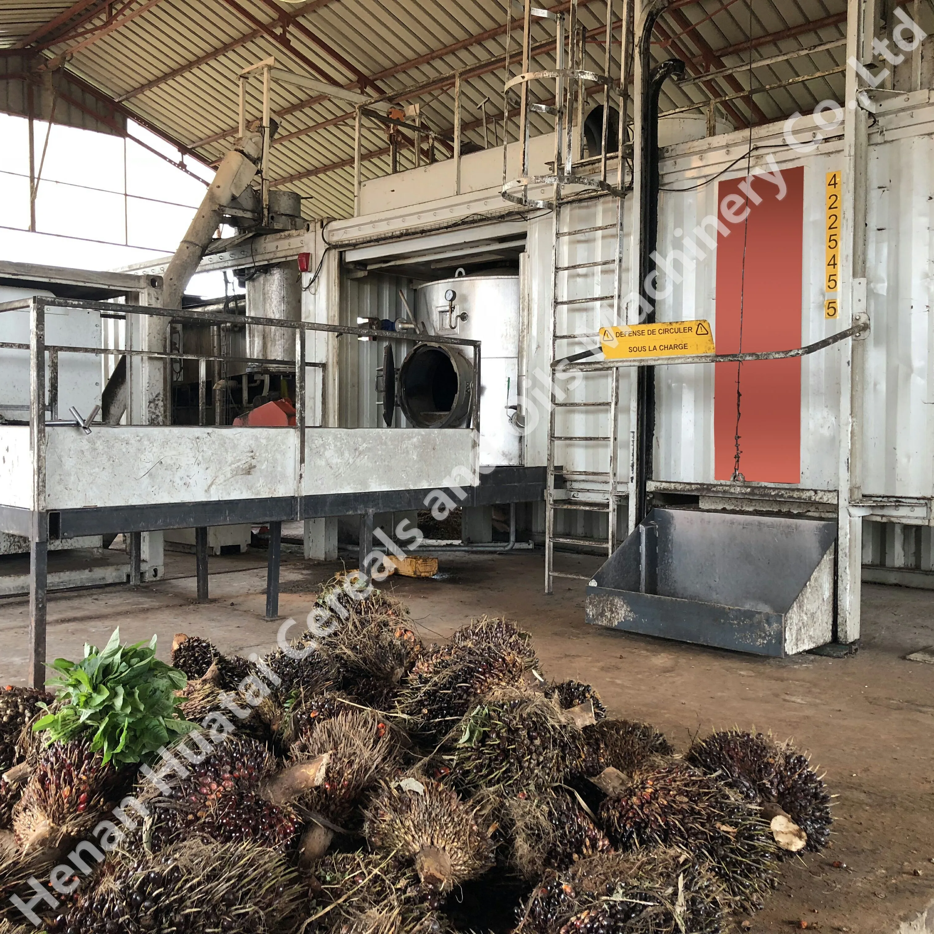 Verse Palm Fruit Verwerking Apparatuur/Productielijn/Palm Fruit Machine Voor Palmolie Molen