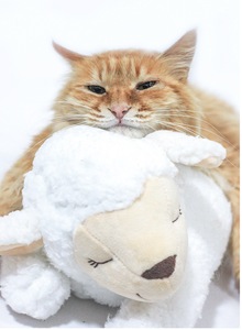 La fabbrica personalizza il battito cardiaco della peluche dell'animale domestico accompagna il giocattolo di aiuto per il comportamento del cucciolo di sonno - Product Image 6