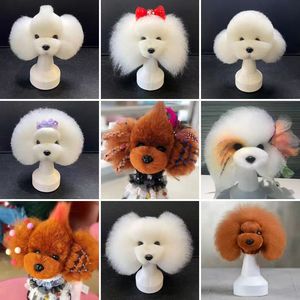 Modelo de Cabeza de Perro Teddy para Prácticas, Esqueleto de Práctica para Escuelas de Estética Canina, Debe Usarse con Pelo Sintético - Product Image 2