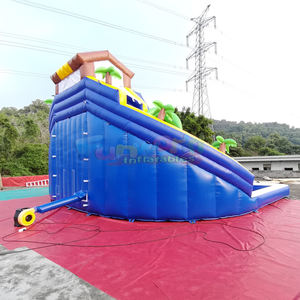 Tobogán Acuático Inflable de Doble Carril con Diseño de Delfín, de Grado Comercial, para Niños, con Piscina, para Fiestas al Aire Libre - Product Image 4