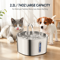 Fontaine à eau automatique pour animaux de compagnie en acier inoxydable, rechargeable, silencieuse, transparente, utilisation en intérieur, adaptée aux chats et aux chiens