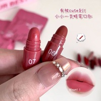 NOUVEAU Coffret de 12 rouges à lèvres en capsule, mini rouge à lèvres mat anti-adhésif, rouge à lèvres mat soyeux et lisse