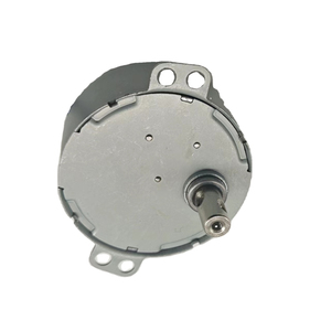 Moteur synchrone miniature à engrenages monophasé haute qualité, grand couple, 110V-240V TY-50 4W AC pour extracteur de jus et appareils électroménagers - Product Image 3
