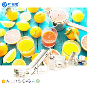 Turnkey Project Complete full Automatic PET Bottle Fruit Apple Orange Mango Juice extract Filling packing Production Line