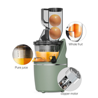Grote Kaliber Automatische Koude Pers Slow Juicer Machine Multifunctionele Verse Groenten Citrus Juicer Custom