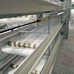 Cage d'élevage de poulets commerciale - Product Image 3