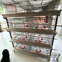 Nouveau Système de Cage d'Élevage de Poulets Entièrement Automatique de Type H en Gros, Contrôle Précis de la Température, Acier Galvanisé Durable pour Poussins