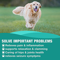 OEM Suppléments à base de plantes pour chiens chats soutien de l'articulation de la hanche huile calmante de l'ourlet pour l'arthrite douleur anxiété soulagement gestion du stress