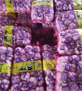 Trung Quốc Nhà cung cấp của tỏi tươi ail ajo alho cạnh tranh bán buôn tỏi giá - Product Image 6