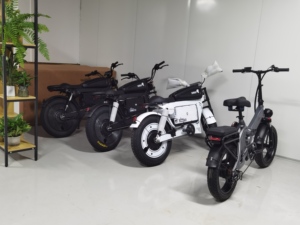 Vélo Électrique Fatbike de Montagne Sting Electrically City, Design Tendance, Modèle SK-2 0em, Stock Prêt à l'Expédition depuis l'Entrepôt US - Product Image 5