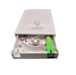 FTTH Faceplate with Adaptor Pigtails Fibra Optica Wall Mounted Box 2 Cores Ftth Outdoor Termination Box