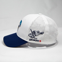 Gorra de Béisbol Personalizada de Alta Calidad al por Mayor, de 6 Paneles, de Algodón con Visera Curva, Estilo Urbano, Bordado Hip-Hop, Ropa Urbana