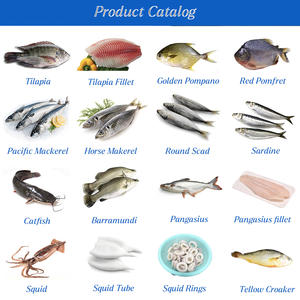 <span class=keywords><strong>Sardinas</strong></span> BQF al por Mayor, <span class=keywords><strong>Precio</strong></span> <span class=keywords><strong>de</strong></span> Mayoreo, Mariscos, <span class=keywords><strong>Sardinas</strong></span> Congeladas Enteras, Exportadores y Proveedores - Product Image 5