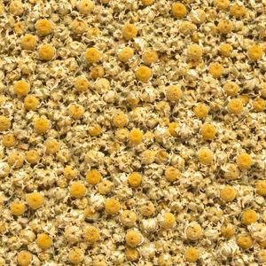 Té <span class=keywords><strong>de</strong></span> <span class=keywords><strong>Manzanilla</strong></span> <span class=keywords><strong>de</strong></span> Alta Calidad al por Mayor, Flores <span class=keywords><strong>de</strong></span> <span class=keywords><strong>Manzanilla</strong></span> Secas 1kg/Paquete, Sabor Saludable para Té - Product Image 1