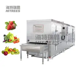 Multifunctional Fluidized Bed vegetables fruit IQF Tunnel Blast Freezer Tunnel Quick Freezer For Vegetable Processing Line