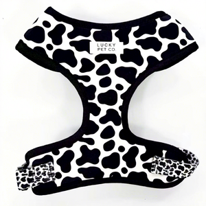 Ücretsiz tasarım OEM Pet ürünleri özelleştirilmiş özel renk yastıklı leopar baskı desen geri dönüşümlü köpek koşum köpekler kediler için özel - Product Image 1