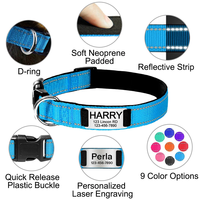 Collier pour chien ou chat personnalisé avec gravure de nom, réfléchissant, en nylon réglable, rembourré et doux, avec plaques de nom et étiquette d'identification