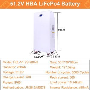 ตู้เก็บพลังงานลิเธียมไอรอนฟอสเฟตแบบติดผนัง 48V 51.2V 200Ah 5Kwh 10Kwh สำหรับสำรองพลังงานแสงอาทิตย์ในบ้าน - Product Image 4
