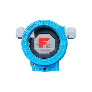 FF giao thức fieldbus nhiệt độ tuyệt đối Đo thiết bị đầu cuối - Product Image 6