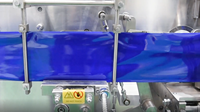 S-110 machine d'emballage horizontale entièrement automatique multifonctionnelle de poche de sac en plastique d'Acepack pour la nourriture avec la fonction d'étiquetage