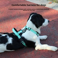 Harnais pour animaux de compagnie avec sangle de poitrine en I, conception anti-évasion pour chiens de taille moyenne et grande ; laisse de promenade résistante aux déchirures, longueur réglable, lavable en machine