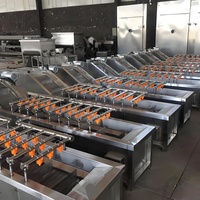 Hoogrenderende Industriële Automatische Bubbelwasmachine Voor Mango Groentewasmachine Met Grote Capaciteit Voor Avocado-Ananas Papaja-Fruit