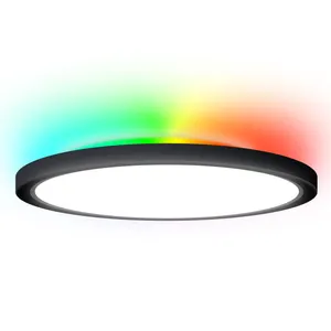 Worbest 12英寸白色/黑色超薄圆形发光二极管面板灯夜灯RGB CW可调交互照明发光二极管吸顶灯