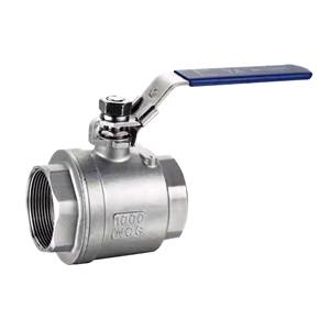 1000 WOG 2PC Type Full Bore PTFE Stainless Steel Manual NPT BSPT OEM ODM 2PC Type Ball Valve