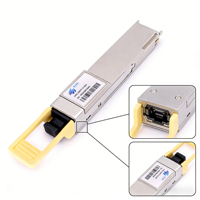 YYGL 400G QSFP112 SR4 OM4 Multimode MPO-12/APC 850nm 100m PAM4 VCSEL/PIN Modul Optik Garansi 2 Tahun Interkoneksi Pusat Data