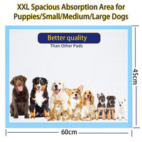 Tapis d'apprentissage jetables imperméables pour chiens 56x56cm, vente en gros d'usine