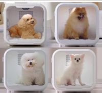 Sèche-cheveux intelligent professionnel pour animaux de compagnie avec séchage rapide, faible bruit et élimination des odeurs, en plastique, pour usage domestique et en salon d'esthétique animale