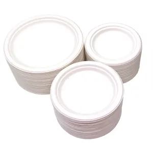 OEM Service Compostable Bio Degradable Sugarcane Bagasse Paper Plates