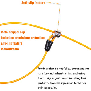 Custom Slip <b>Lead</b> Rope Dog <b>Lead</b> Leashes Pet Traction Rope Leashes Dog Walking <b>Training</b> <b>Lead</b> For Medium Large Dogs - Product Image 3