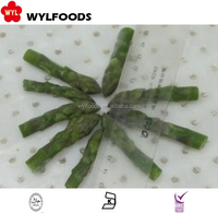 Lanzas de espárragos verdes congelados de la mejor calidad, verduras IQF al vapor, tallo perfecto para mejorar bocadillos o comidas saludables