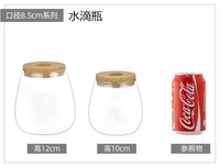 Vase Terrarium en Verre Cylindrique Transparent avec Couvercle en Liège à Trou Central, Design Méditerranéen Écologique pour Petits Poissons Betta