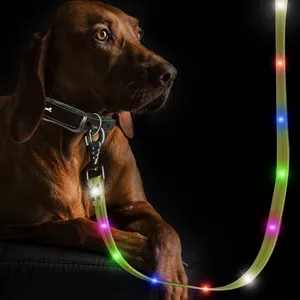 شعار مخصص USB شحن LED ضوء PVC مقاوم للماء تدريب الكلب طويلة مع القيادة