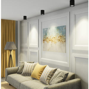 非穴あき天井取り付けLEDチューブライト円形COB吊り下げワイヤー表面取り付けスポットライト通路照明 - Product Image 2