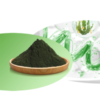 Grand stock de poudre de spiruline pour poisson