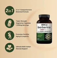 Complément de berbérine avec cannelle de Ceylan pour le contrôle de la glycémie, le soutien du métabolisme et l'équilibre de l'insuline, capsules 1200mg