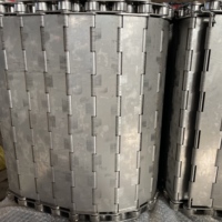 Chaîne à plaques en acier inoxydable 304 sur mesure pour ligne de production de tortillas de maïs/biscuits/pains