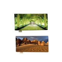 En production, écran lcd Amoled flexible de 6 pouces 1080x2160 avec support tactile pour imprimante 3D
